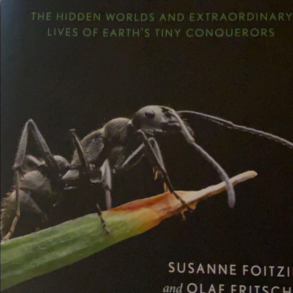 Meet your Posher, Ant